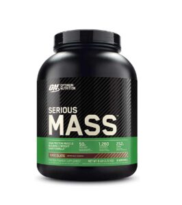 Optimum Nutrition Serious Mass Weight Gainer Protein Powder